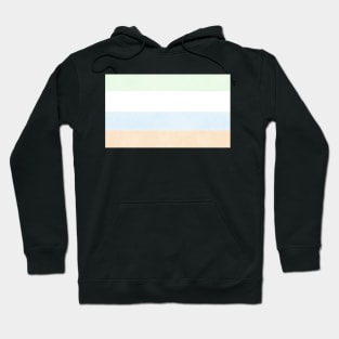 Unlabeled Pride Flag Hoodie